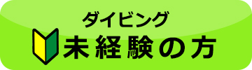 ダイビング初心者