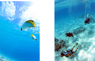 体験ダイビングは初心者でも安心