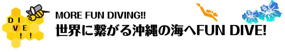 世界につながる沖縄の海でファンダイブ