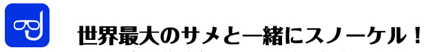 ジンベエザメとスノーケル