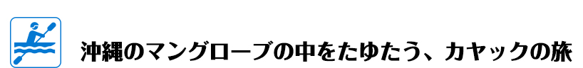 沖縄マングローブへカヤックの旅