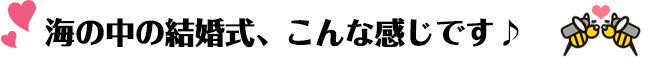 水中結婚式の様子