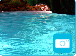 ダイビングはハニーダイブ